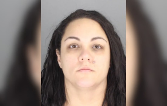 Rochester Hills ‘DTE’ Ruse Killing: Suspect’s Wife Heads For March 30 Court Showdown