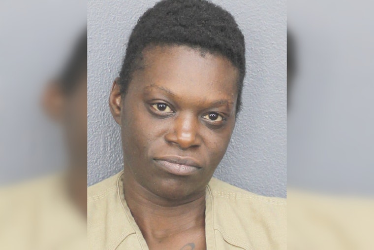 Rock-Hurling Rampage Shatters Cars in Downtown Fort Lauderdale