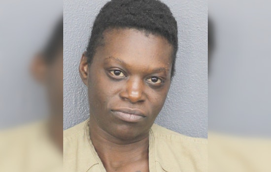 Rock-Hurling Rampage Shatters Cars in Downtown Fort Lauderdale