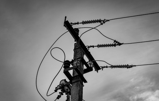 Rogue Squirrel Plunges Germantown Into Morning Blackout, Knocking Out Power for Thousands