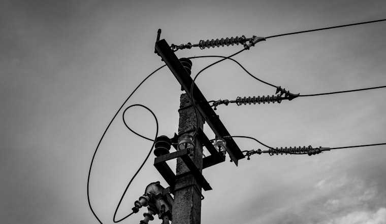 Rogue Squirrel Plunges Germantown Into Morning Blackout, Knocking Out Power for Thousands