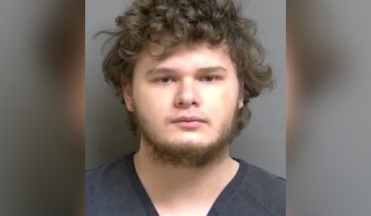 Roseville Teen Hit With $1 Million Bond In Child Sex Materials Case