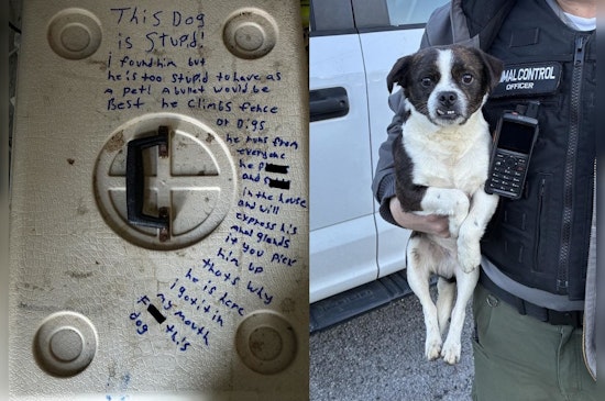 Rossville Jerk Dumps 'Stupid' Dog In Carrier, Leaves Vicious Note