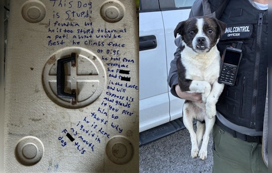 Rossville Jerk Dumps 'Stupid' Dog In Carrier, Leaves Vicious Note