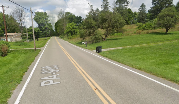 Route 980 Horror: Car Plunges Off Cecil Township Hillside, Driver Killed