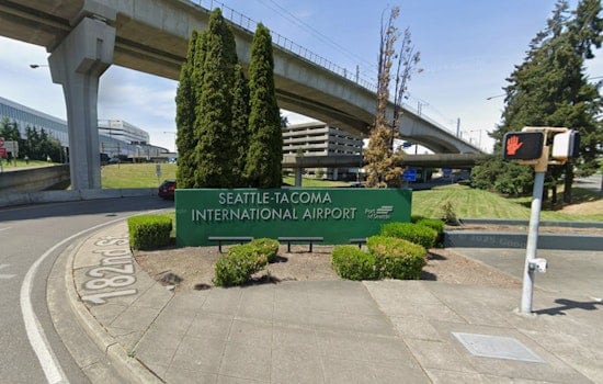 Runaway Dog Turns Sea-Tac Taxiways Into Tense Tarmac Chase