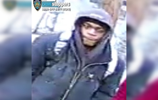 Rush Hour BX41 Horror as Police Hunt Suspect in Mount Hope Bus Attack