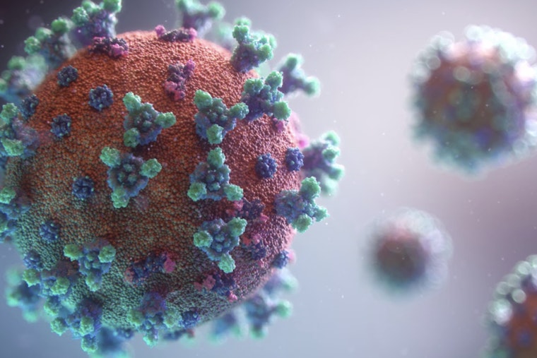 Sacramento Measles Scare Unvaccinated Kids Bring South Carolina Outbreak Home