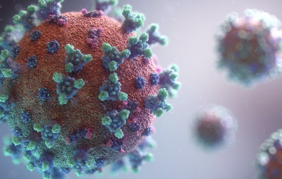 Sacramento Measles Scare Unvaccinated Kids Bring South Carolina Outbreak Home