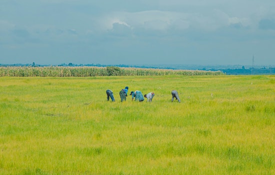 Sacramento Supervisors Scrap Cesar Chavez Day For Farm Workers Holiday