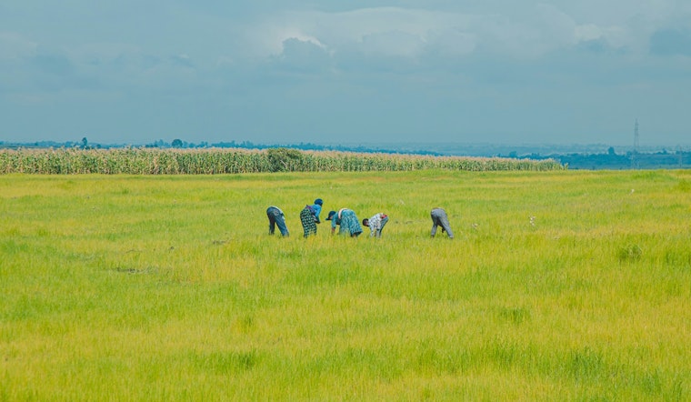 Sacramento Supervisors Scrap Cesar Chavez Day For Farm Workers Holiday
