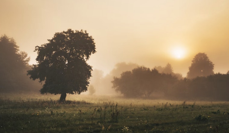 Sacramento Wakes in a Fog, Then Basks in Springlike Weekend Warmup