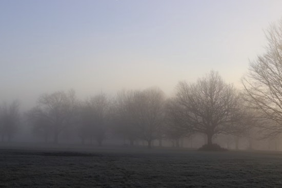 Sacramento Wakes Up in a Fog, Spends the Afternoon in the Sun