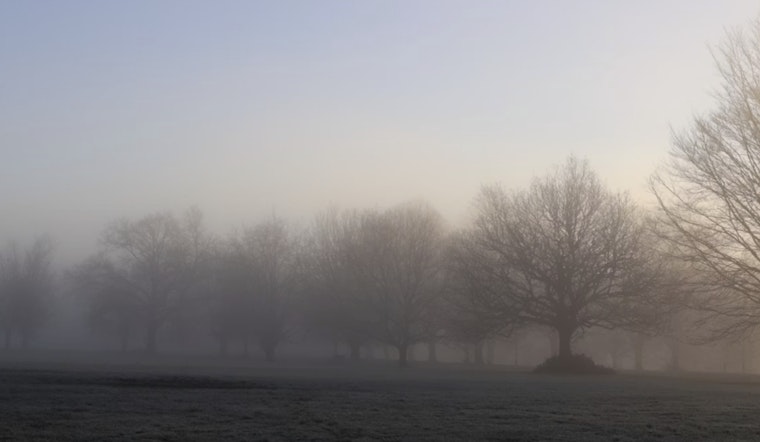 Sacramento Wakes Up in a Fog, Spends the Afternoon in the Sun