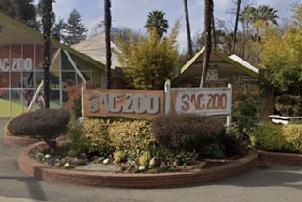 Sacramento Zoo Eyes Big Land Park Land Grab as Council Weighs 41 Percent Expansion