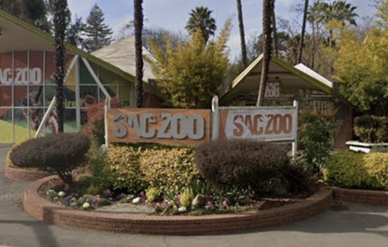 Sacramento Zoo Eyes Big Land Park Land Grab as Council Weighs 41 Percent Expansion