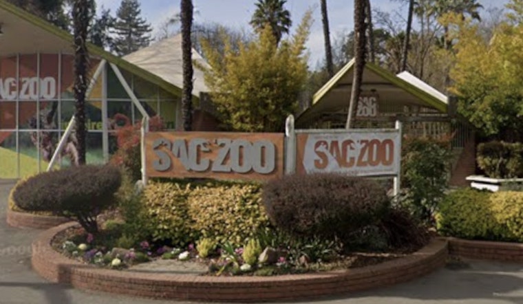 Sacramento Zoo Eyes Big Land Park Land Grab as Council Weighs 41 Percent Expansion
