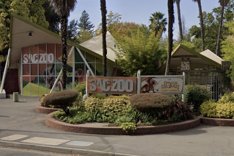 Sacramento Zoo Locked Down As Nearby Threat Puts Land Park On Edge