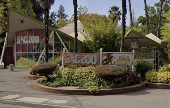 Sacramento Zoo Locked Down As Nearby Threat Puts Land Park On Edge