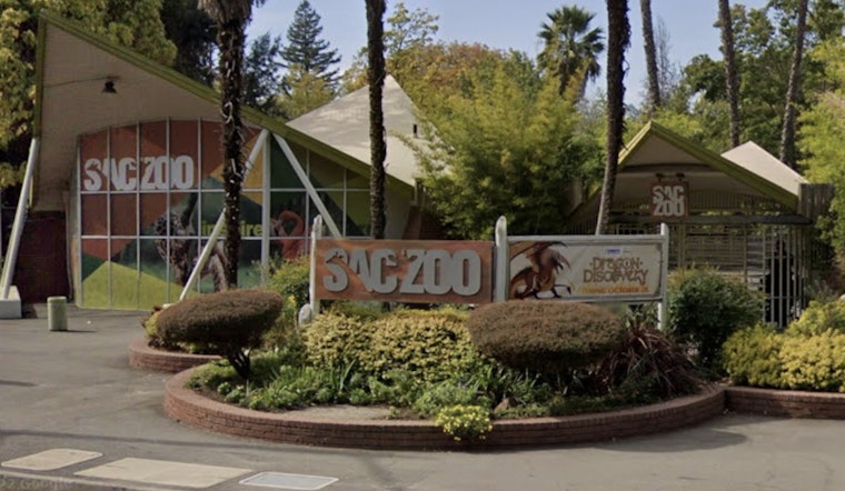 Sacramento Zoo Locked Down As Nearby Threat Puts Land Park On Edge