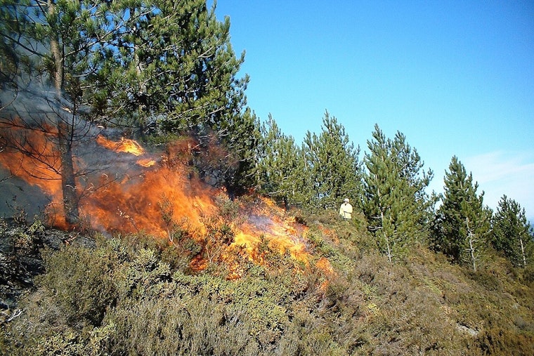 San Antonio On Edge as Weekend Heat Flips to Fierce Fire Risk
