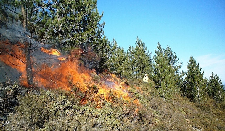 San Antonio On Edge as Weekend Heat Flips to Fierce Fire Risk