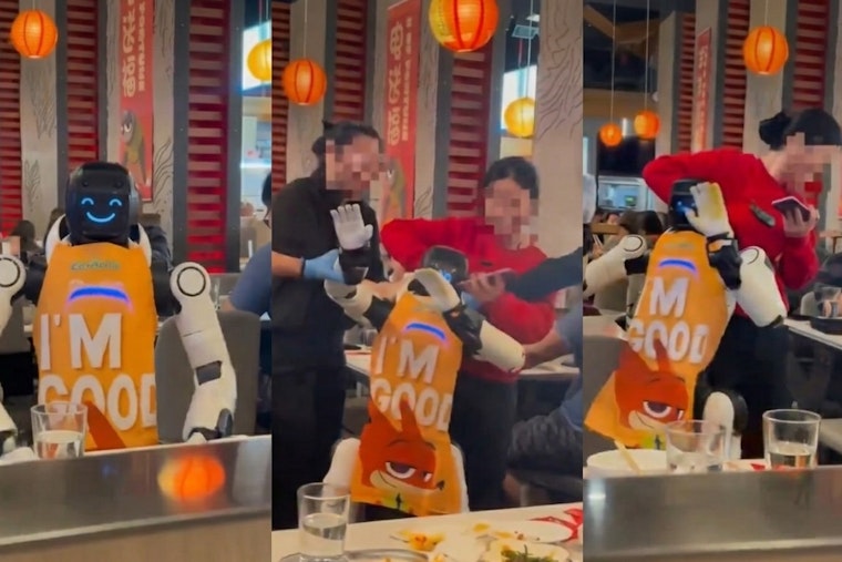 San Jose Hot Pot Chaos as Dancing Robot Loses It, Staff Pile On