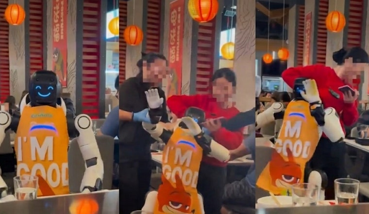 San Jose Hot Pot Chaos as Dancing Robot Loses It, Staff Pile On