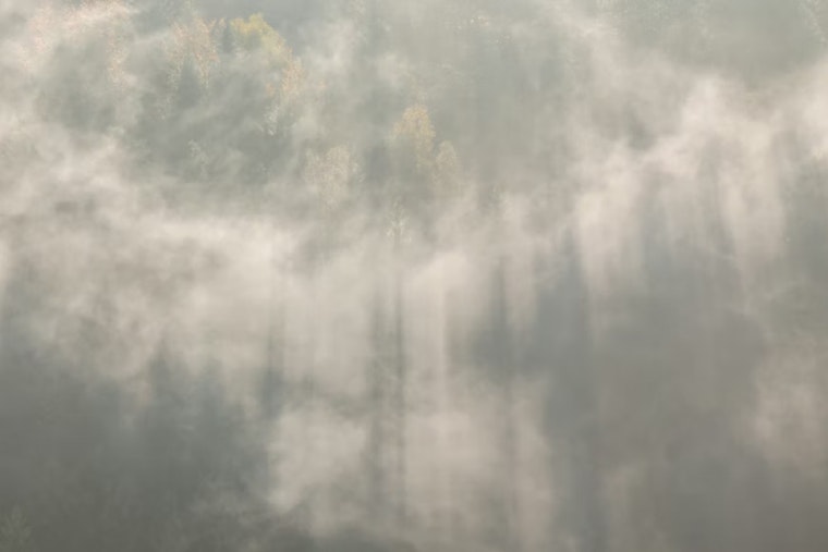 San Jose Wakes Up in a Fog, Marches Toward Sunny 80s