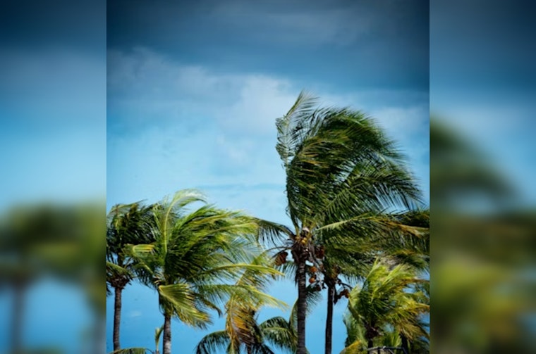 Santa Ana Winds To Buffet Downtown LA With 65 mph Gusts