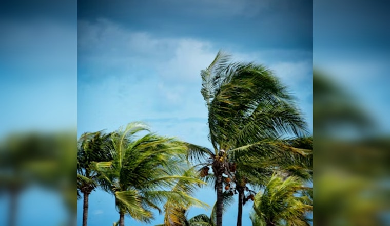 Santa Ana Winds To Buffet Downtown LA With 65 mph Gusts