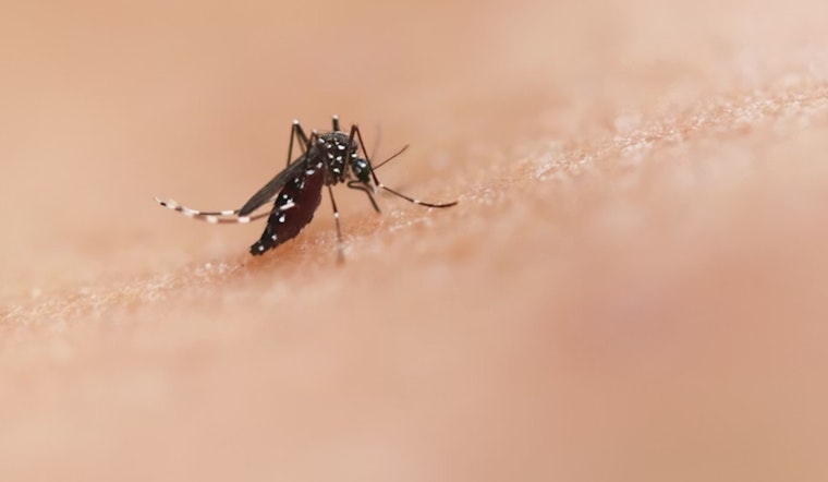 Santa Clara Homeowners Stung With $16 Mosquito Fee Vote