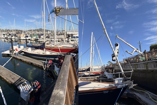 Sausalito Harbor Horror As Car Shoots Off Shoreline, Killing Local Driver