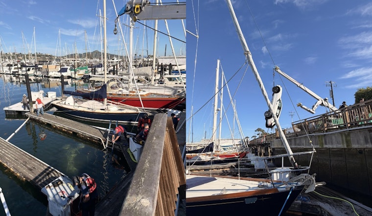 Sausalito Harbor Horror As Car Shoots Off Shoreline, Killing Local Driver