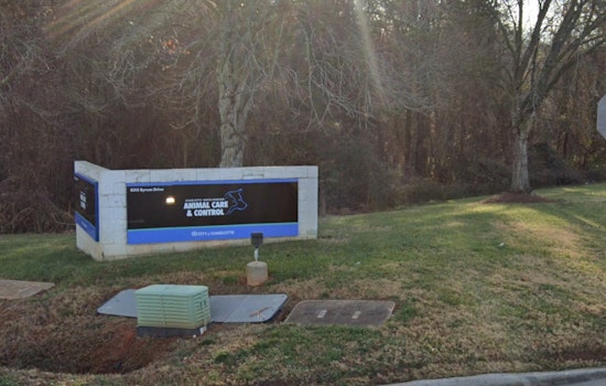 Scammer Tried To Ransom Their ‘Injured’ Dog Before Charlotte Shelter Stepped In