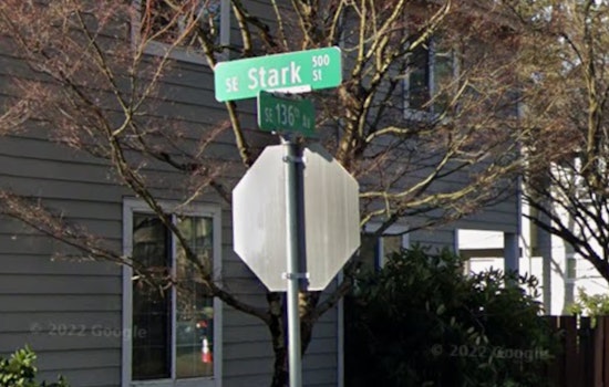 SE Stark Chaos As Portland Cops Shoot Rampaging Family Dog
