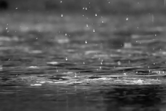 Seattle Braces as Midweek Soaker Brings Blustery Winds and Cascade Slush