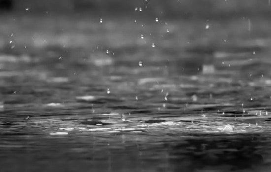 Seattle Braces as Midweek Soaker Brings Blustery Winds and Cascade Slush