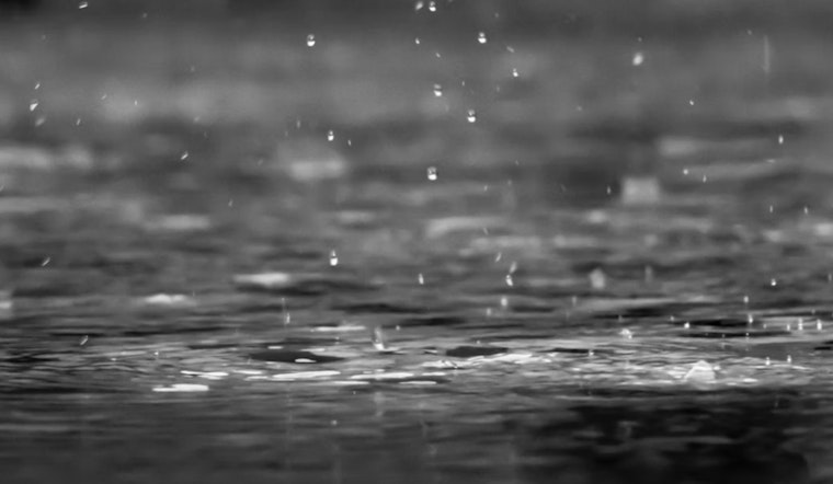 Seattle Braces as Midweek Soaker Brings Blustery Winds and Cascade Slush