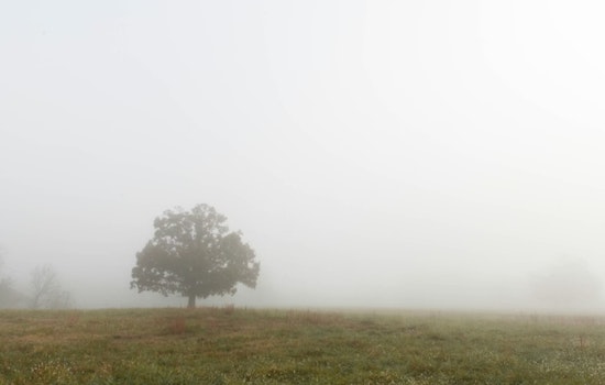 Seattle Wakes To Soup-Thick Fog As Weeklong Soaker Moves In