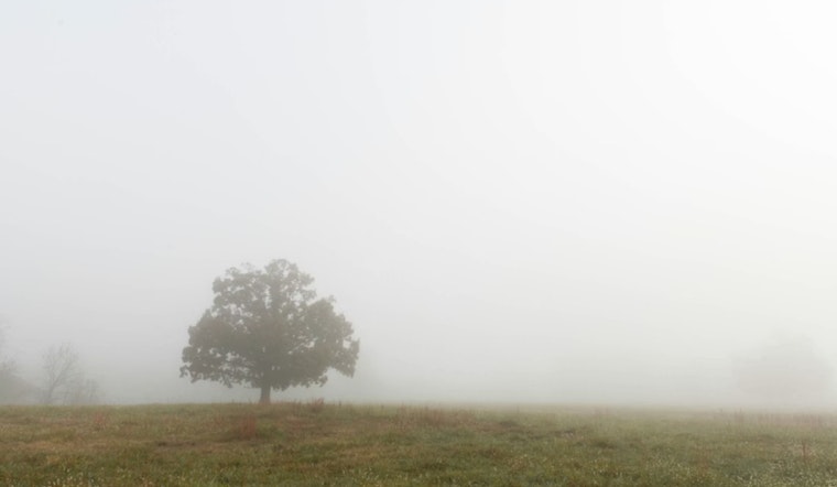 Seattle Wakes To Soup-Thick Fog As Weeklong Soaker Moves In