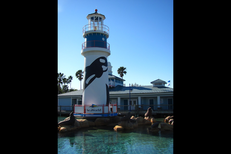 SeaWorld Orlando Scare Sends Six To Hospital On Friday Night