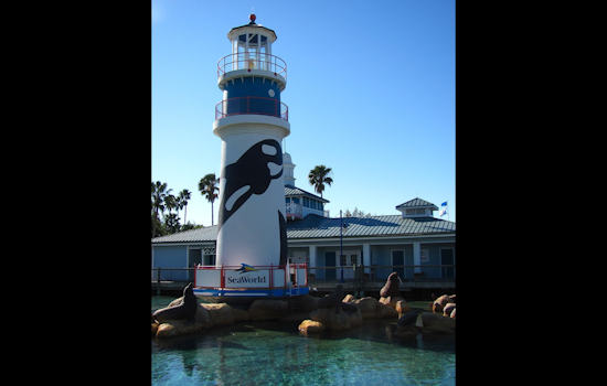 SeaWorld Orlando Scare Sends Six To Hospital On Friday Night