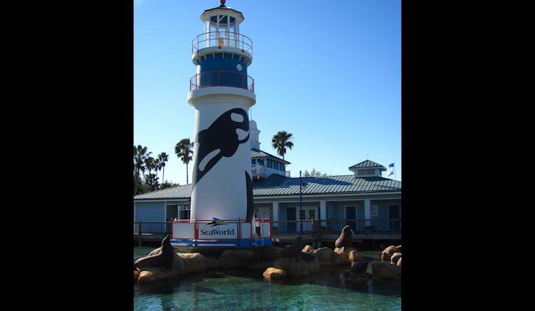 SeaWorld Orlando Scare Sends Six To Hospital On Friday Night
