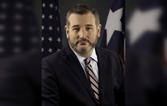 Cruz, Gillibrand Go To War On NDAs That Gag Child Sex Abuse Survivors