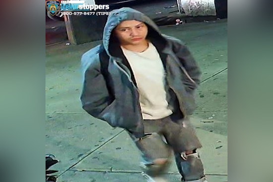 Sex Assault Robber Hunted After Late‑Night Attack At Myrtle Ave Business