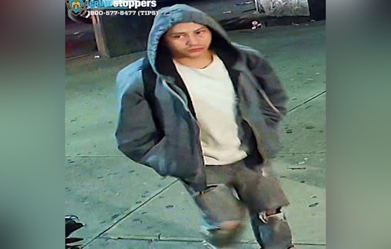 Sex Assault Robber Hunted After Late‑Night Attack At Myrtle Ave Business