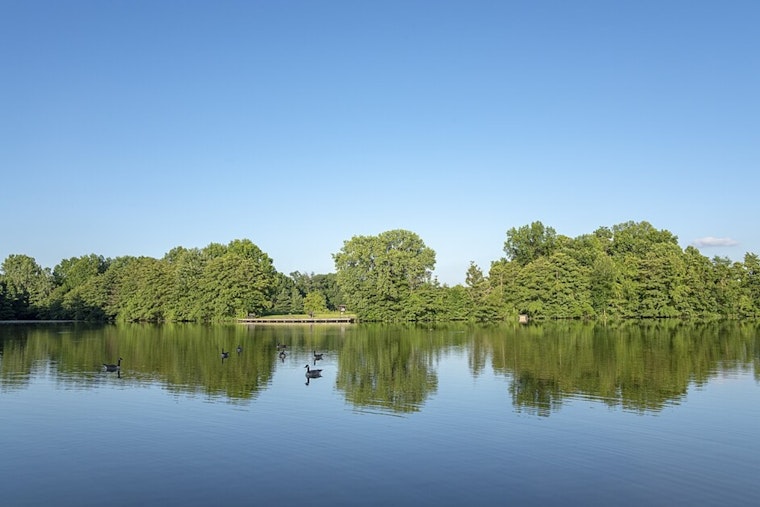 Sharon Lake Roars Back After $17 Million Makeover At Sharon Woods