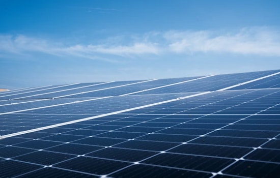 Sheep, Solar and a Small-Town Revolt: Morrow County Kills $98M Crossroads Project
