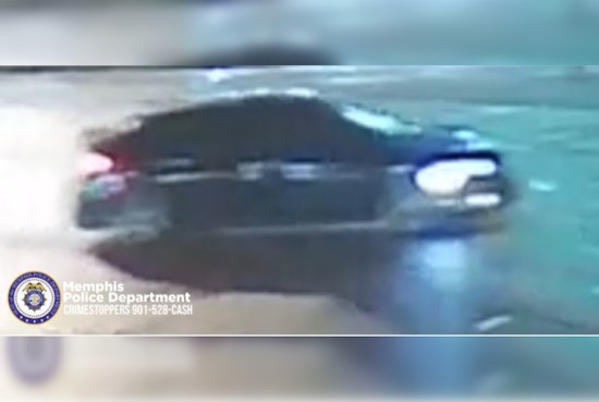 Shelby Farms Horror As Driver Flees Deadly 2 A.M. Hit-And-Run
